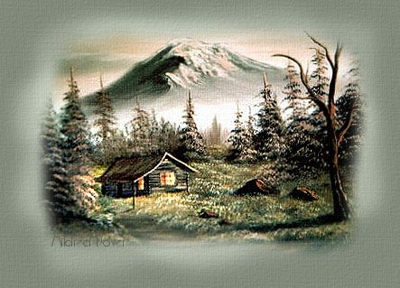 Peaceful cabin